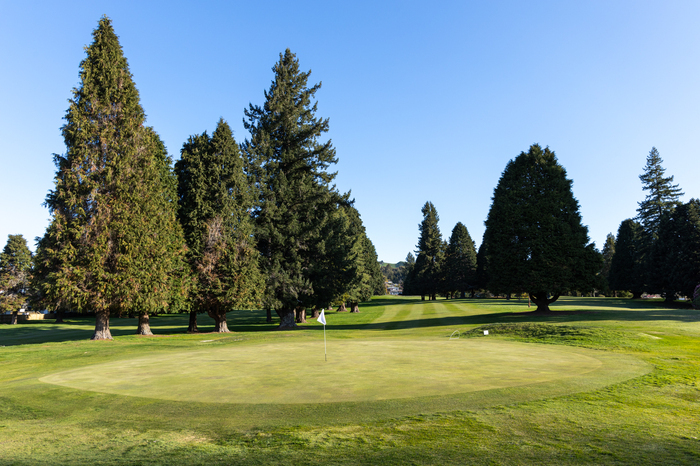 Springfield Golf Club, Rotorua Golf, New Zealand