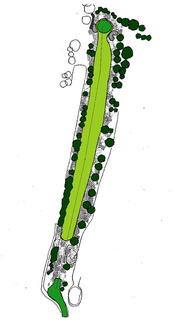 7th STRAIGHTAWAY